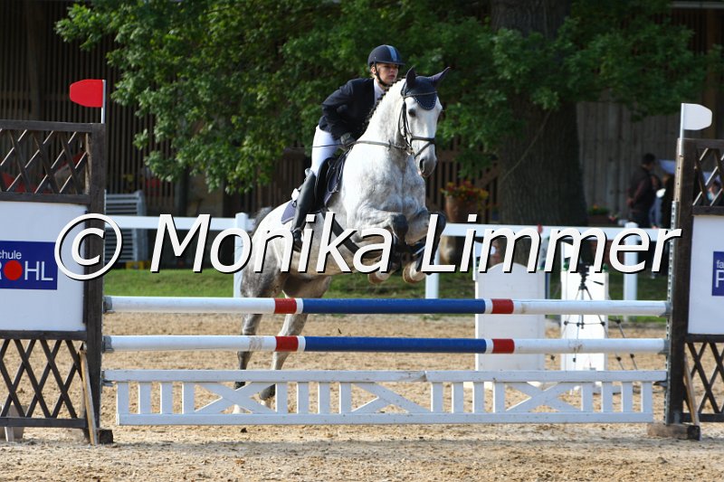 006M6366_Diamond Dancer_Springpferde A.JPG